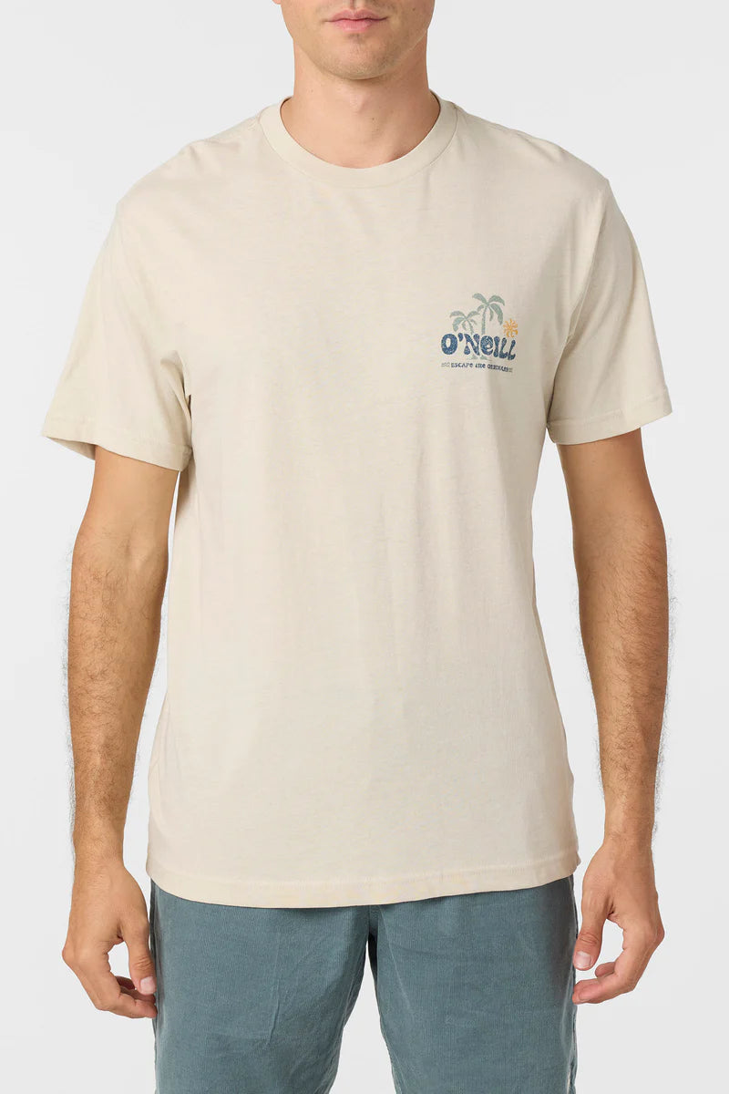 loose graphic tee lt taupe