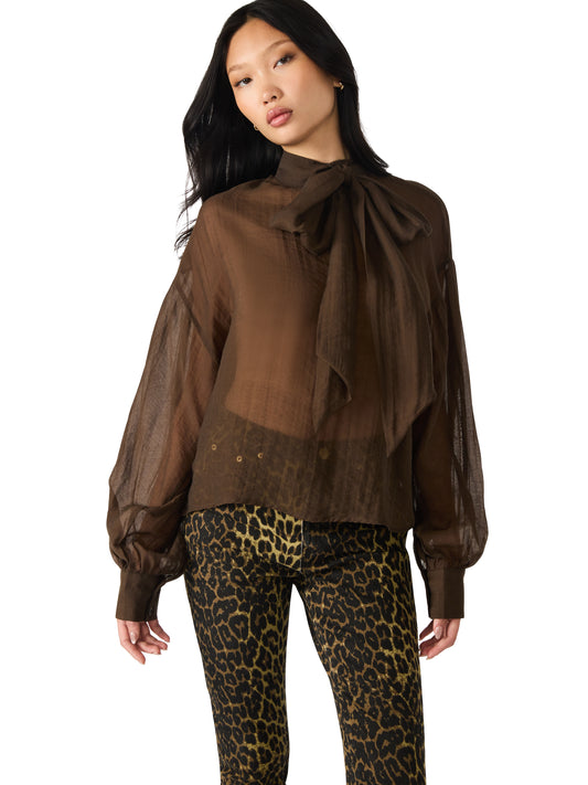 sutton sheer espresso blouse