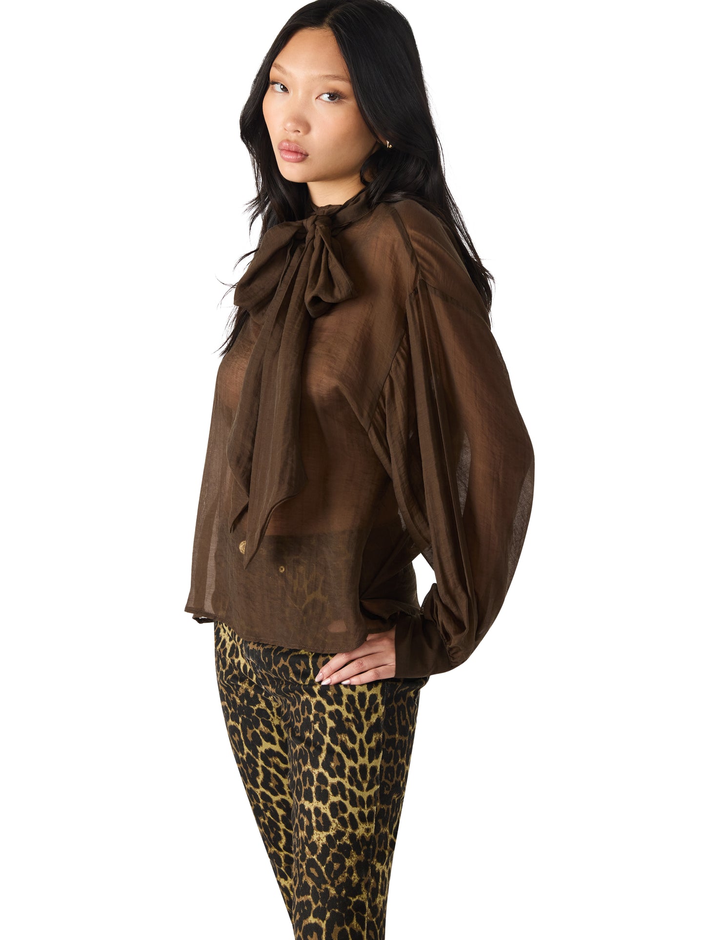 sutton sheer espresso blouse